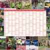 Calendario rp
