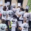 RP con il WWF alla RUN4ROME